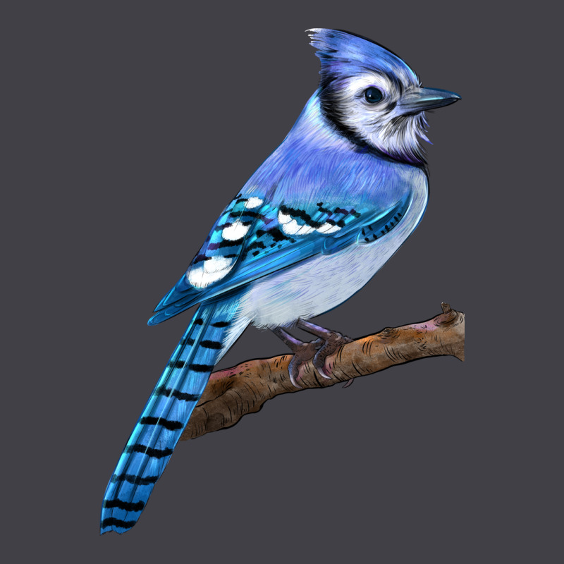Blue Jay Bird Heavyweight Hoodie by LillyAllenDesigns | Teevron