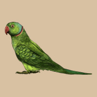 Ring Necked Parakeet Heavyweight Hoodie | Teevron