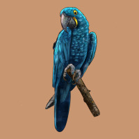 Hyacinth Macaw Heavyweight Hoodie | Teevron