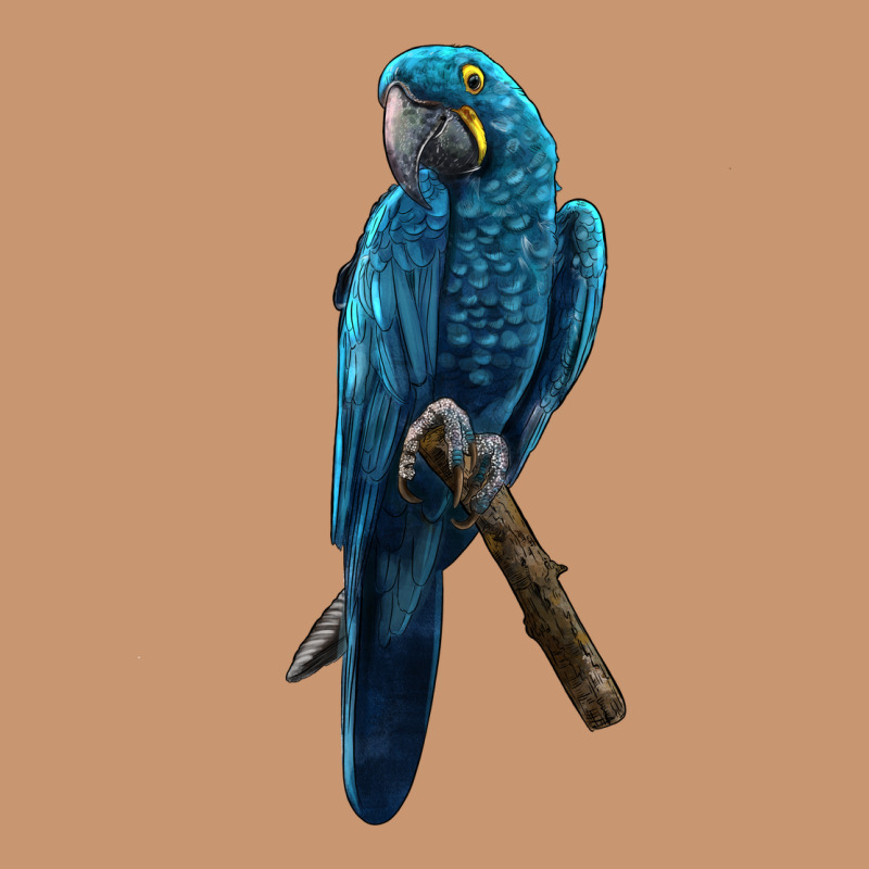 Hyacinth Macaw Heavyweight Hoodie by LillyAllenDesigns | Teevron