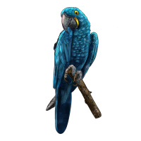 Hyacinth Macaw | Teevron