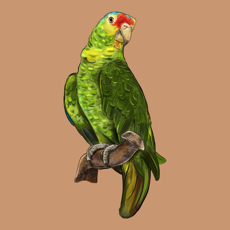 New Zealand Paraket Parrot Heavyweight Hoodie by LillyAllenDesigns | Teevron