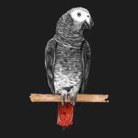 African Gray Parrot Bird Heavyweight Hoodie | Teevron