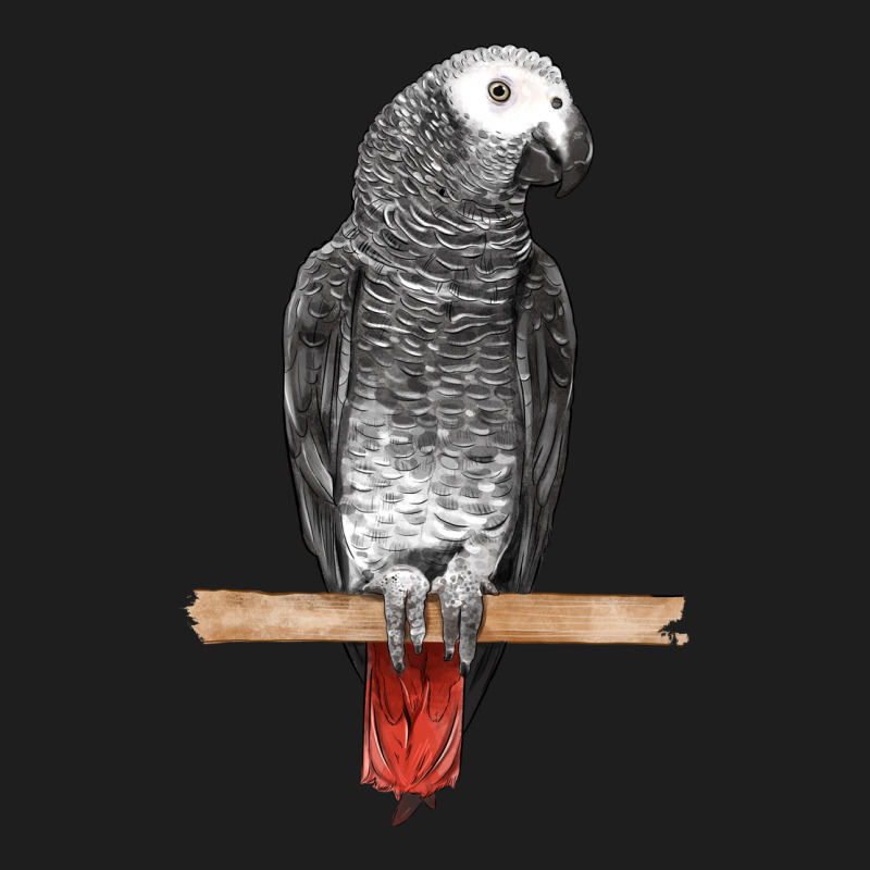 African Gray Parrot Bird Heavyweight Hoodie by LillyAllenDesigns | Teevron