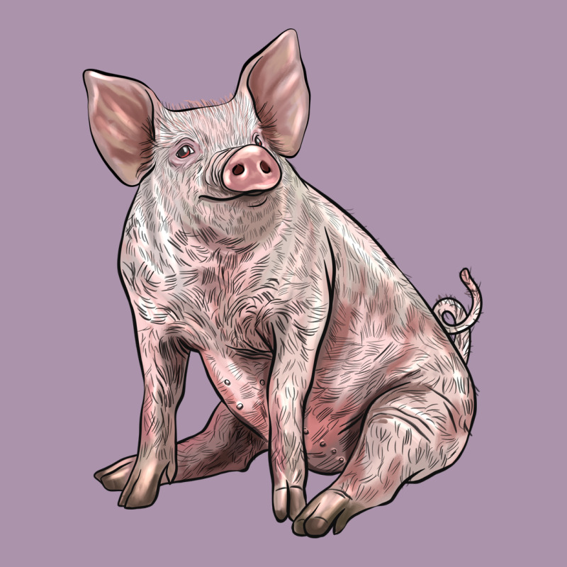 American Yorkshire Pig Heavyweight Hoodie by LillyAllenDesigns | Teevron
