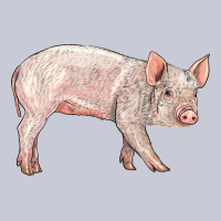 American Yorkshire Pig  Baby Heavyweight Hoodie | Teevron