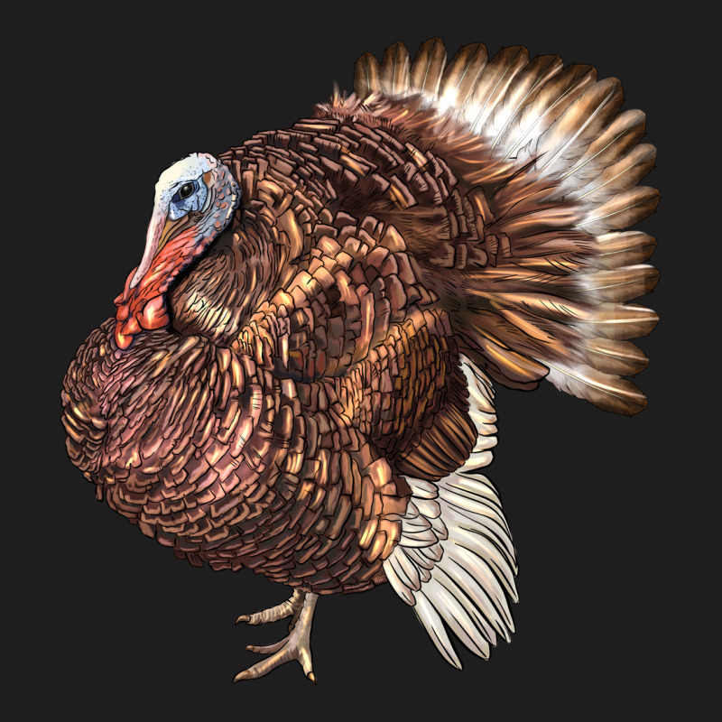 Bourbon Red Turkey Heavyweight Hoodie by LillyAllenDesigns | Teevron