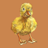 Baby Duck Heavyweight Hoodie | Teevron