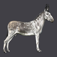 Andalusian Donkey Heavyweight Hoodie | Teevron