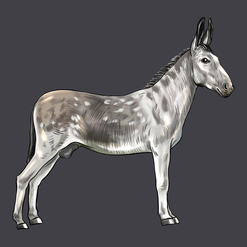 Andalusian Donkey Heavyweight Hoodie by LillyAllenDesigns | Teevron