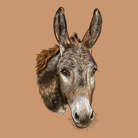 Andalusian Donkey Face Heavyweight Hoodie | Teevron