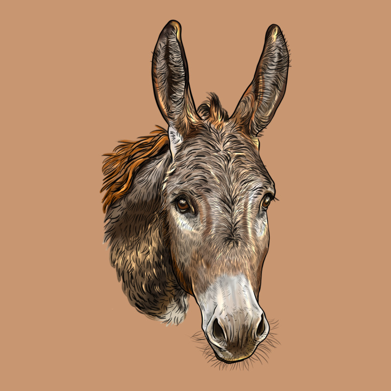 Andalusian Donkey Face Heavyweight Hoodie by LillyAllenDesigns | Teevron
