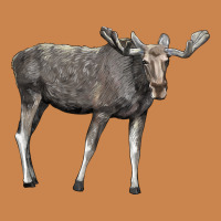 Moose Buck Deer Heavyweight Hoodie | Teevron