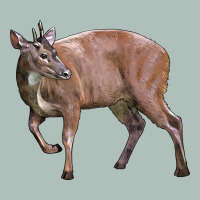 Red Brocket Buck Deer Heavyweight Hoodie | Teevron