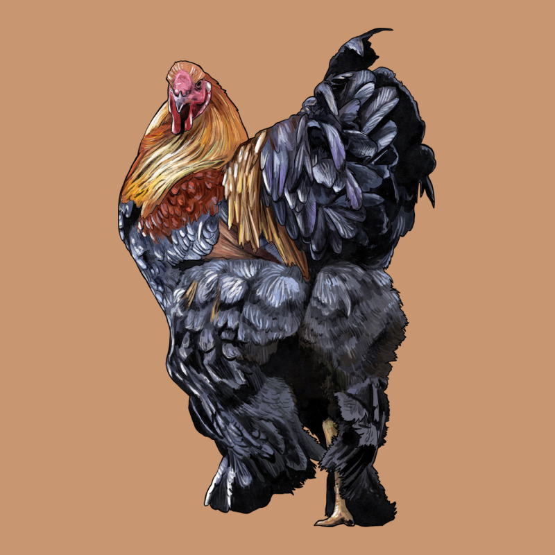 Brahma Rooster Heavyweight Hoodie by LillyAllenDesigns | Teevron
