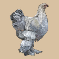 Brahma Chicken Heavyweight Hoodie | Teevron