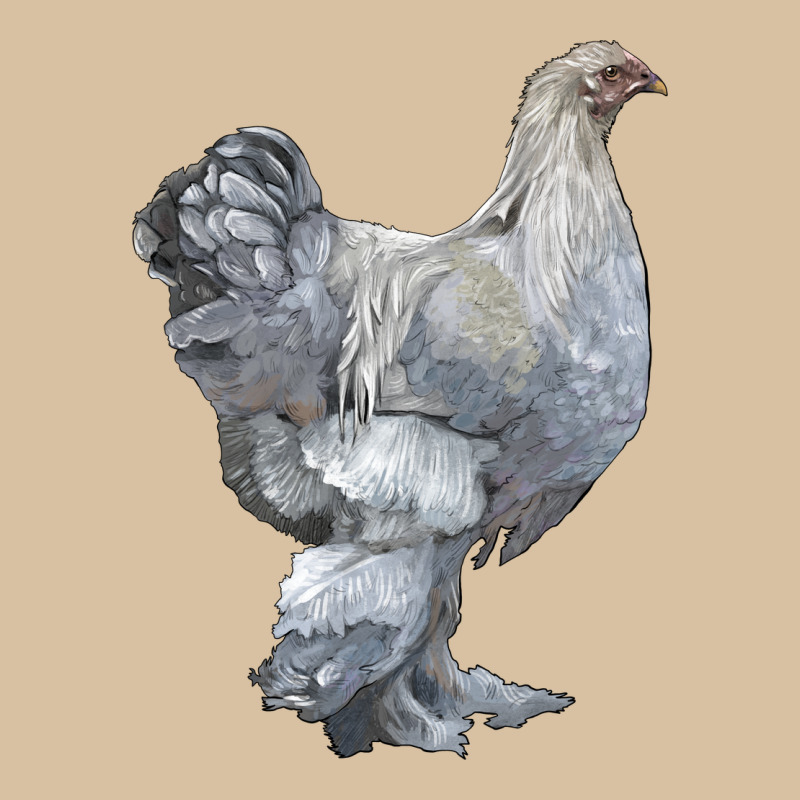 Brahma Chicken Heavyweight Hoodie by LillyAllenDesigns | Teevron