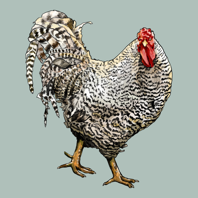 Dominique Rooster Heavyweight Hoodie by LillyAllenDesigns | Teevron