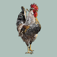 Cream Legbar Rooster Heavyweight Hoodie | Teevron