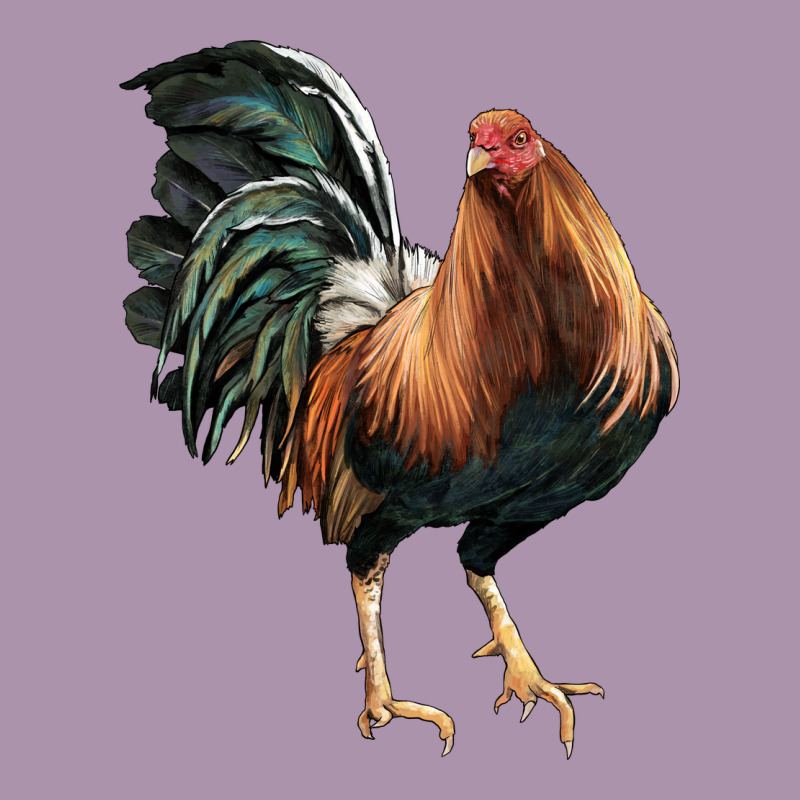 American Game Rooster Heavyweight Hoodie by LillyAllenDesigns | Teevron