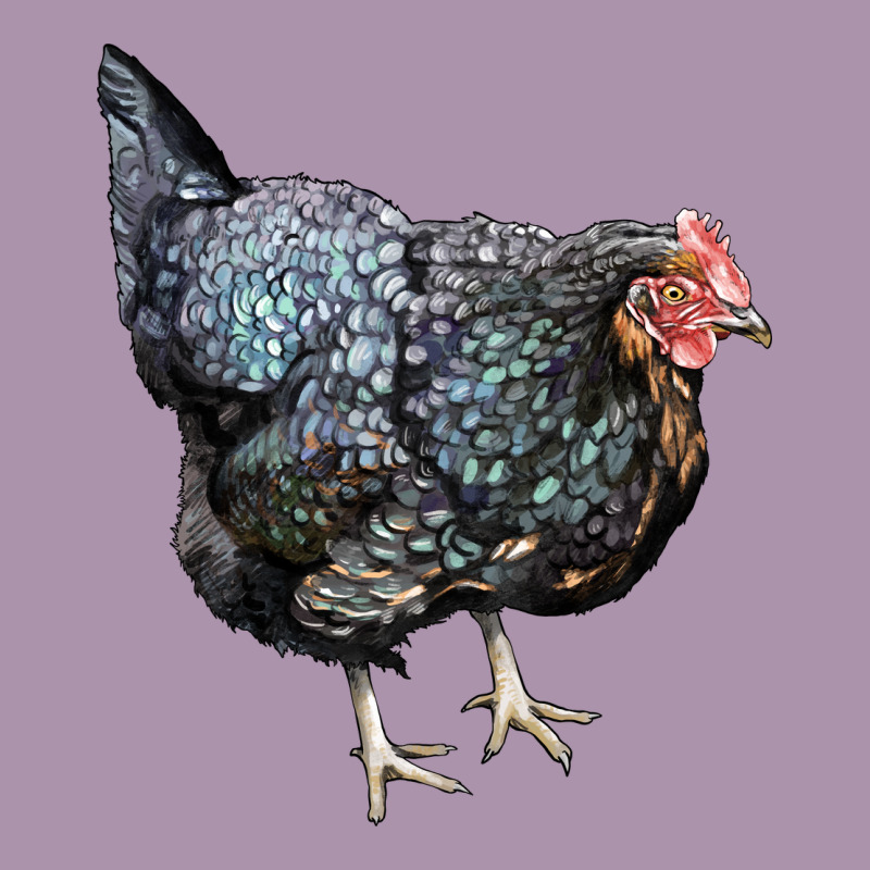 Jersey Giant Chicken Heavyweight Hoodie by LillyAllenDesigns | Teevron