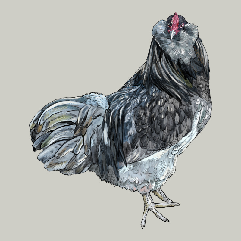 Ameraucana Rooster Heavyweight Hoodie by LillyAllenDesigns | Teevron