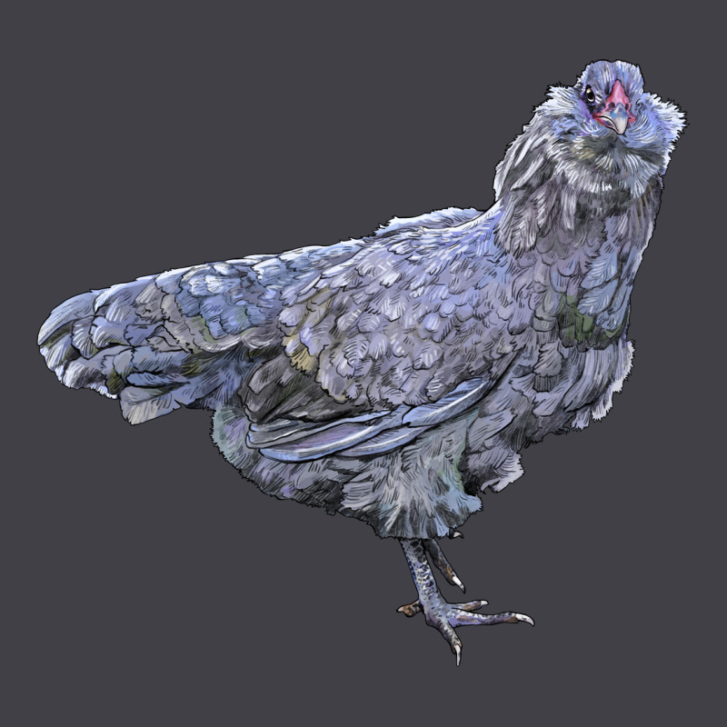 Ameraucana Chicken Heavyweight Hoodie by LillyAllenDesigns | Teevron