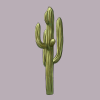 Cactus Vintage Tee | Teevron
