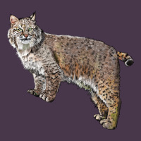 Bobcat Heavyweight Hoodie | Teevron
