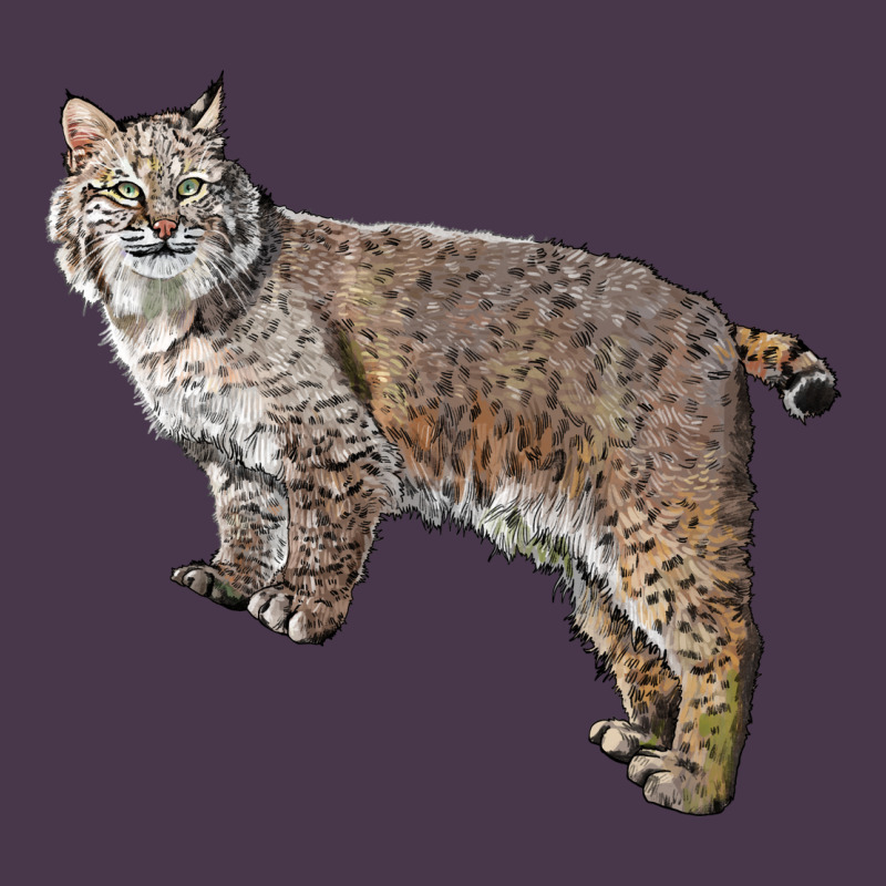 Bobcat Heavyweight Hoodie by LillyAllenDesigns | Teevron