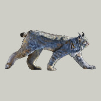 Canada Lynx Heavyweight Hoodie | Teevron