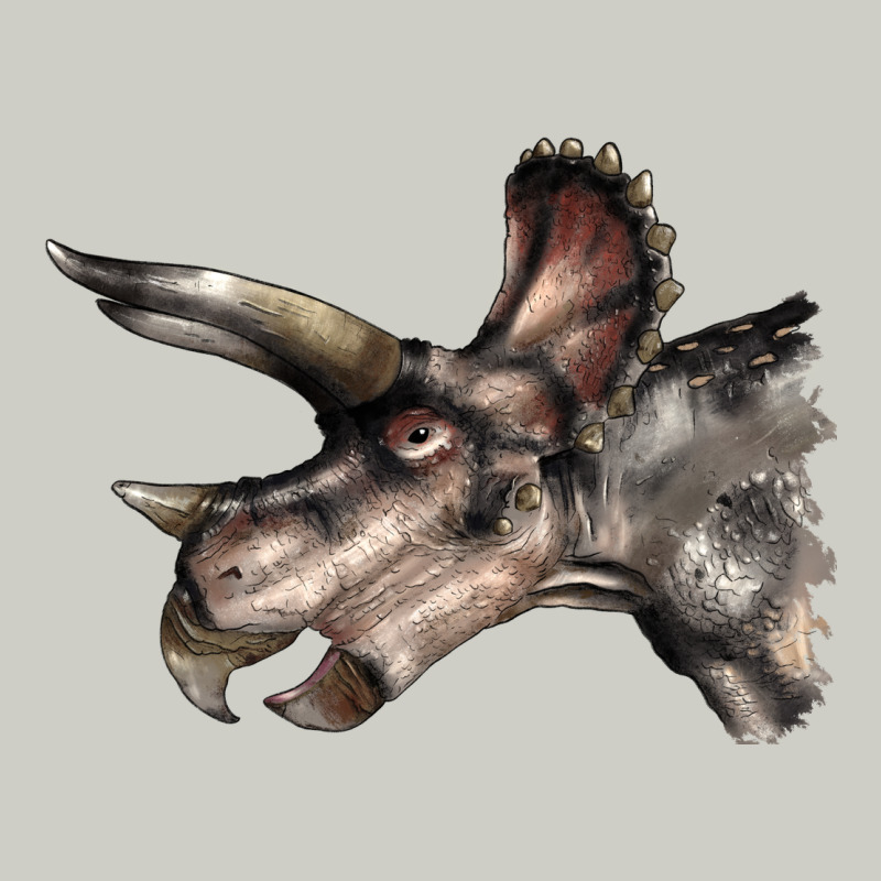 Triceratops Horridus Face Heavyweight Hoodie by LillyAllenDesigns | Teevron