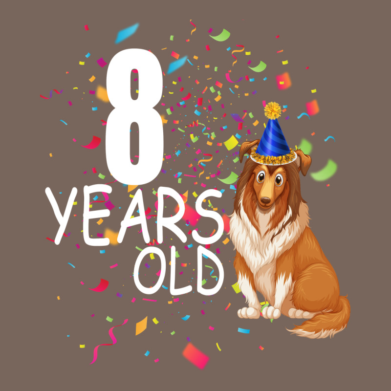 8 Years Old Premium Hoodie by Bettercallsaul | Teevron