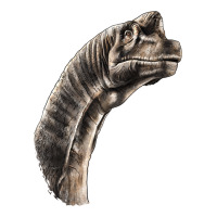Brachiosaurus Face Heavyweight Hoodie | Teevron