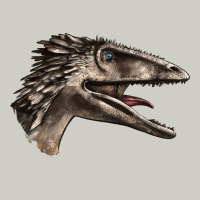 Deinonychus Face Heavyweight Hoodie | Teevron
