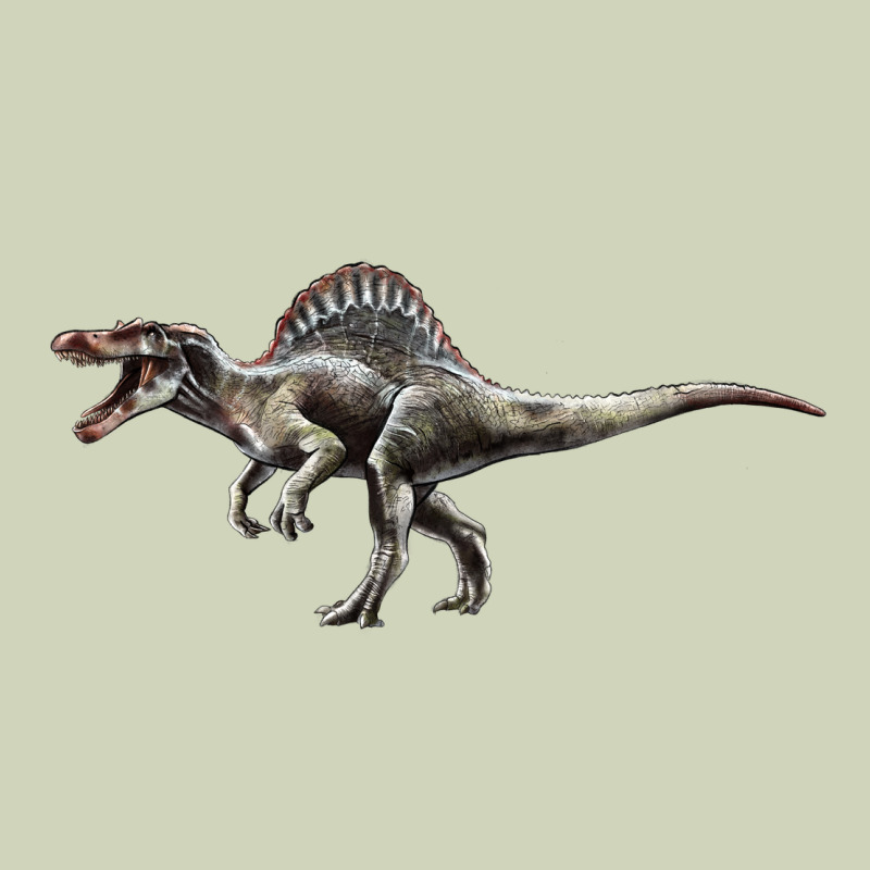 Spinosaurus Heavyweight Hoodie by LillyAllenDesigns | Teevron