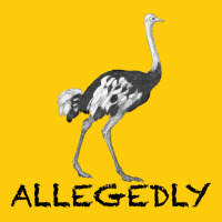 Allegedly Premium Hoodie | Teevron