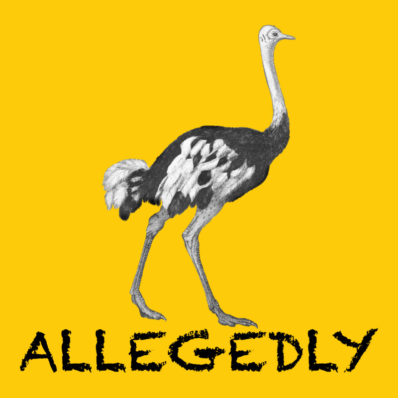 Allegedly Premium Hoodie by Bettercallsaul | Teevron