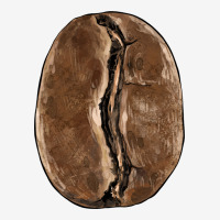 Coffee Bean Urban Hoodie | Teevron