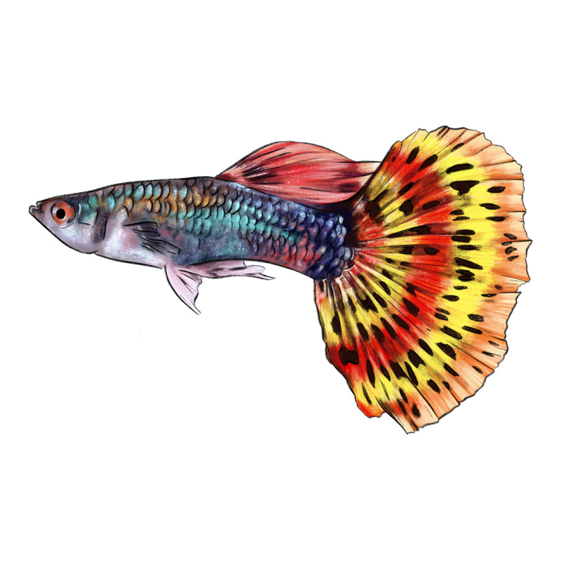 Guppy Fish Heavyweight Hoodie by LillyAllenDesigns | Teevron