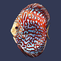 Discus Fish Heavyweight Hoodie | Teevron