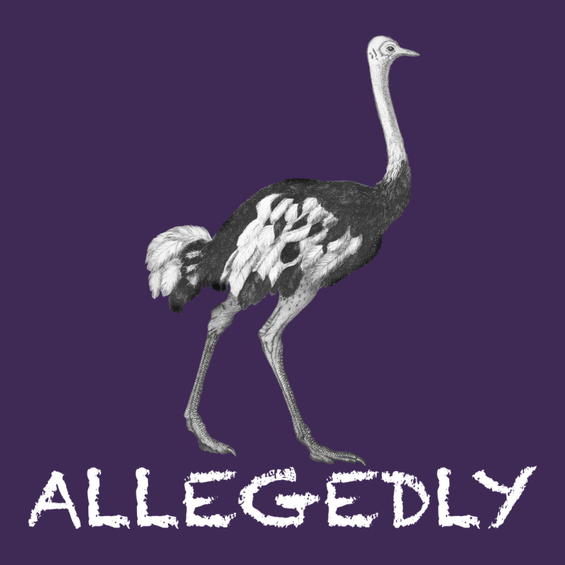 Allegedly Premium Hoodie by Bettercallsaul | Teevron