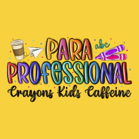 Paraprofessional Premium Sweatshirt | Teevron