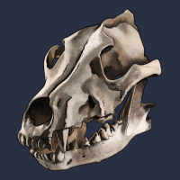 Wolf Skull Heavyweight Sweatshirt | Teevron