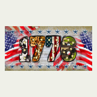 1776 4th Of July License Plate Urban Heavy Tee | Teevron