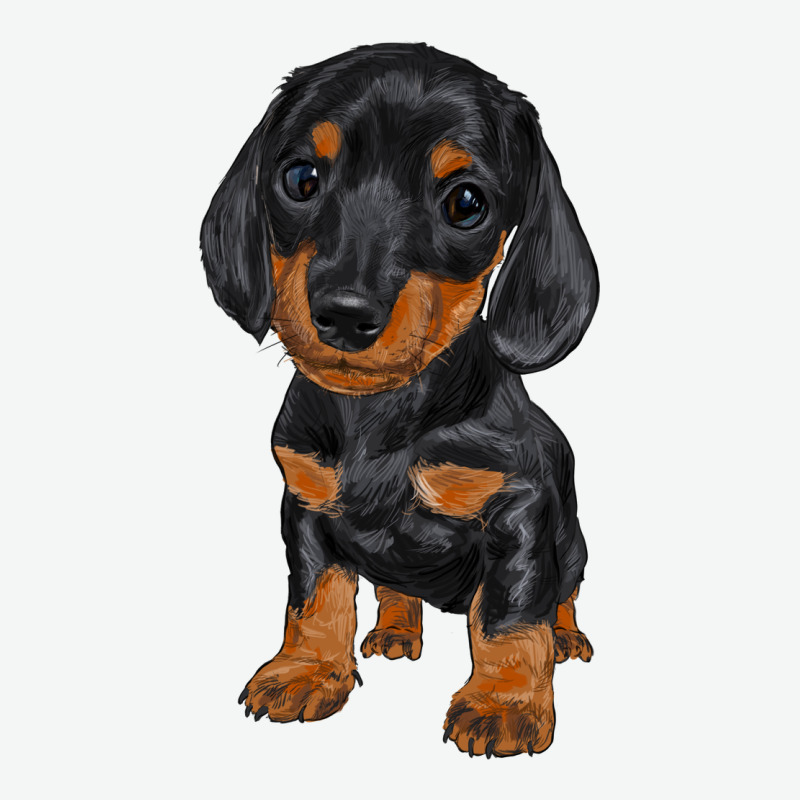 Dachshund Puppy Urban Heavy Tee by RanaPortraitStore | Teevron