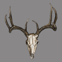 Deer Skull Vintage Tee | Teevron