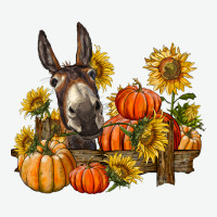 Donkey Sunflower And Pumpkin Farm Urban Heavy Tee | Teevron