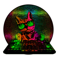 House Cat (rainbow Dj Kitty) Zipper Hoodie | Teevron