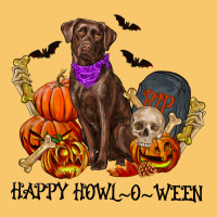Happy Howl-o-ween Vintage Hoodie | Teevron